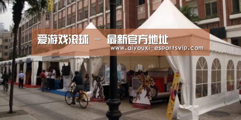 案例标题九