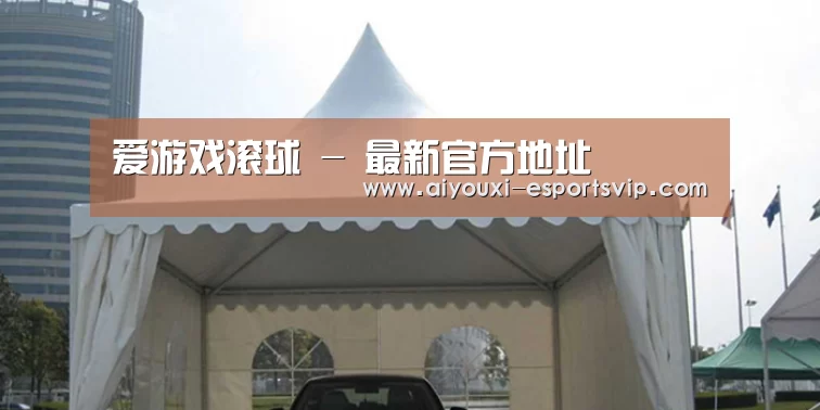 案例标题八