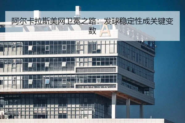 a-er-ka-la-si-mei-wang-wei-mian-zhi-lu-fa-qiu-wen-ding-xing-cheng-guan-jian-bian-shu-2-578.jpg