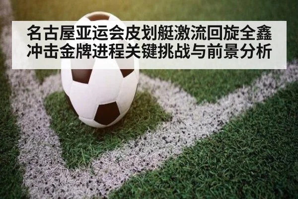 名古屋亚运会皮划艇激流回旋全鑫冲击金牌进程关键挑战与前景分析