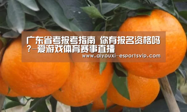 广东省考报考指南 你有报名资格吗?-爱游戏体育赛事直播