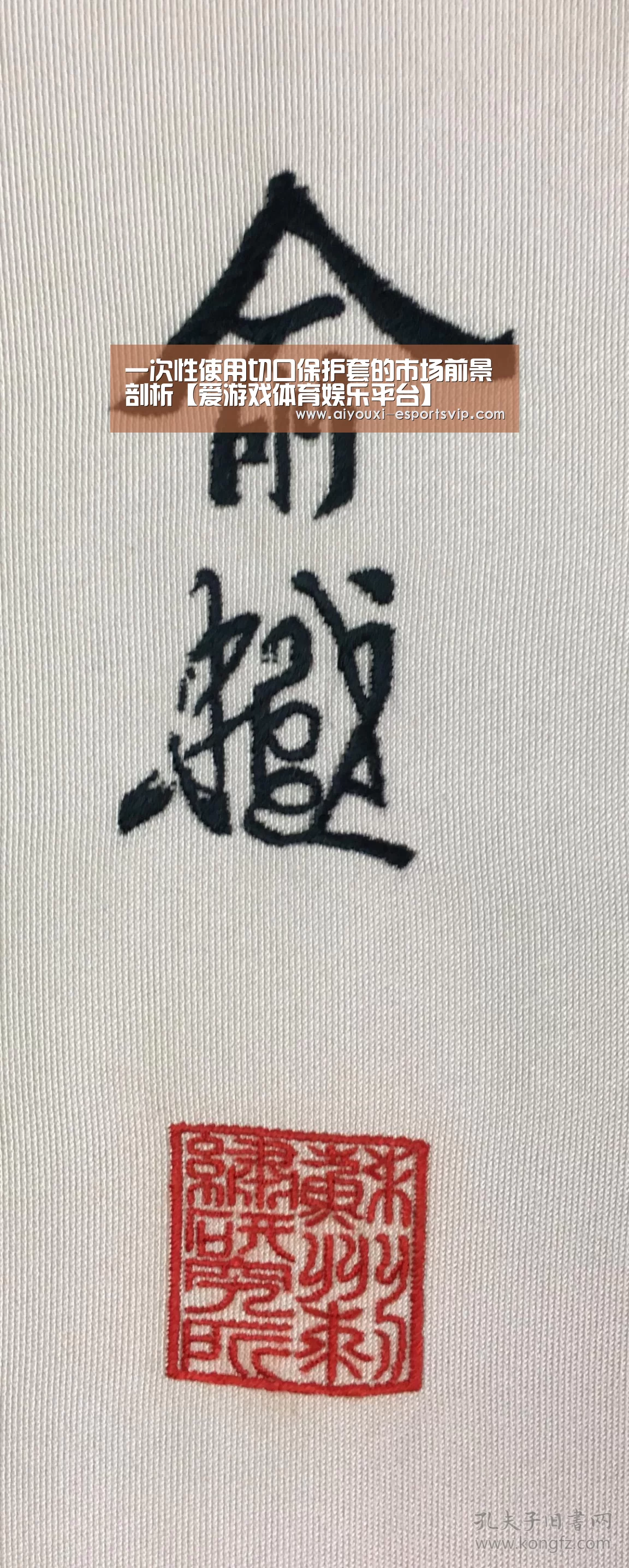 一次性使用切口保护套的市场前景剖析【爱游戏体育娱乐平台】(图3) 爱游戏体育赛事直播