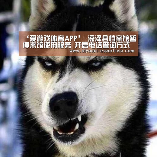 爱游戏体育APP