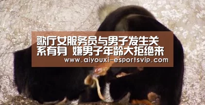 爱游戏体育赛事直播