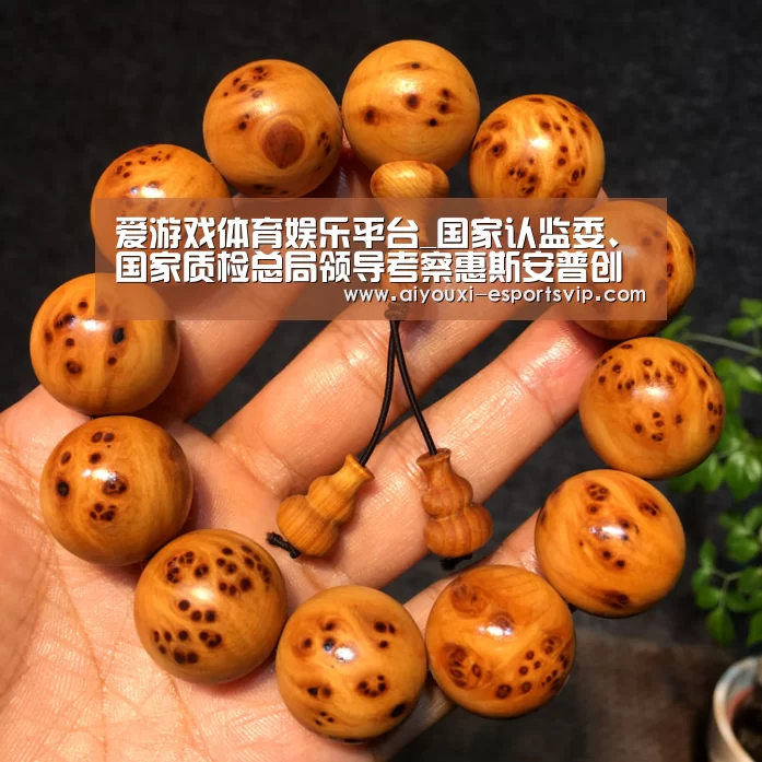 爱游戏体育赛事直播